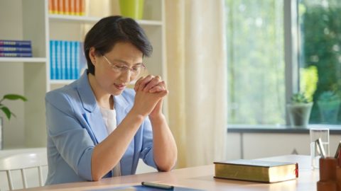 Cudowne przetrwanie ataku roju os