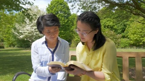 80. Sąd jest światłem