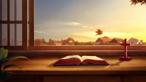 Biblia jest świadectwem Bożego dzieła i przyniosła ludzkości wiele korzyści. Dzięki czytaniu Biblii zaczęliśmy traktować Boga jako Stwórcę wszystkich rzeczy, dowiedzieliśmy się o Jego wszechmocy, Jego czynach i ich wspaniałości. Ponieważ Biblia jest zapisem Bożego słowa i świadectwem człowieka, dlaczego nie możemy osiągnąć życia wiecznego poprzez czytanie Biblii? Dlaczego więc, skoro w Biblii znajdują się słowa Boże, nie można w niej znaleźć drogi życia wiecznego?