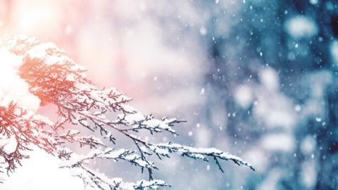 3. Jak powinno się doświadczać Bożego sądu i karcenia, aby dostąpić zbawienia?