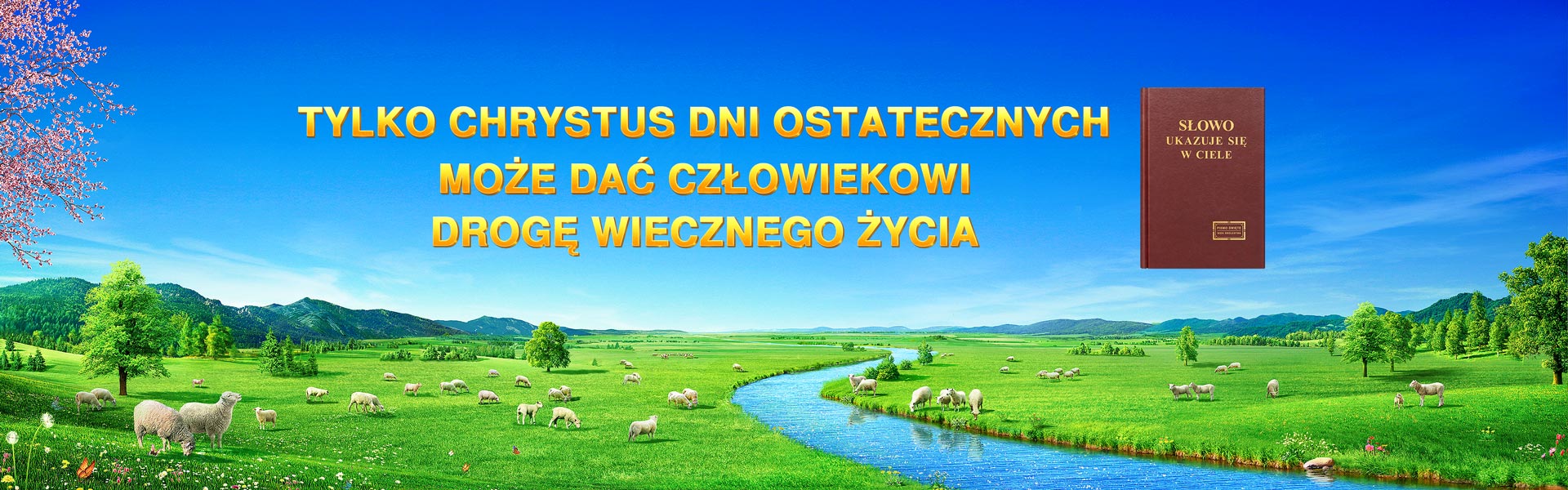 Tylko Chrystus dni ostatecznych może dać człowiekowi drogę wiecznego życia