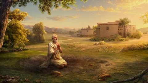 Błąd: Mówi się: „Bóg powinien pokazywać ludziom wspaniałe cuda; musi uzdrawiać chorych i wypędzać demony, musi obdarzać ludzi błogosławieństwami. Jeśli nie czyni cudów, jeśli nie przynosi żadnej korzyści ludzkości, to nie jest prawdziwym Bogiem. Jeśli ten Bóg Wszechmogący, w którego wierzycie, jest prawdziwym Bogiem, dlaczego nadal chorujecie? Dlaczego w waszych domach nie panuje spokój? Jako wierzący w Jezusa, ci z nas, którzy są chorzy, zostają uzdrowieni, a ci, którzy nie są chorzy, mają pokój w domu”.